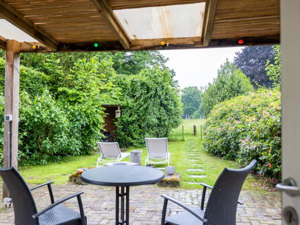 Tuin [zomer]