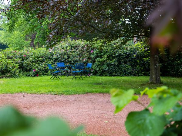 Tuin [zomer]