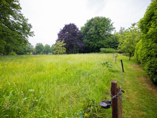 Tuin [zomer]