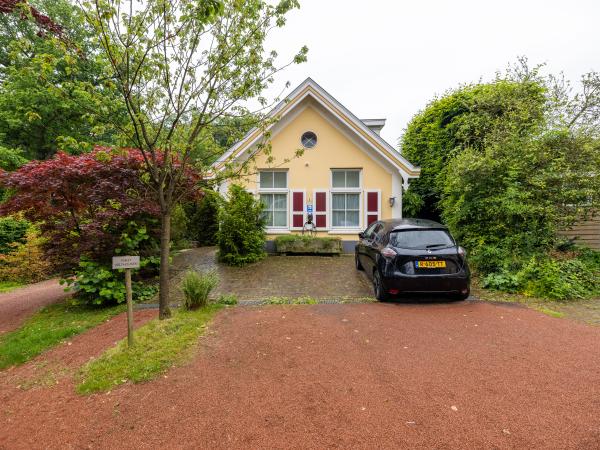 Tuin [zomer]