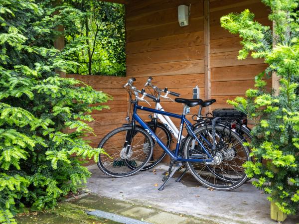 Tuin [zomer]