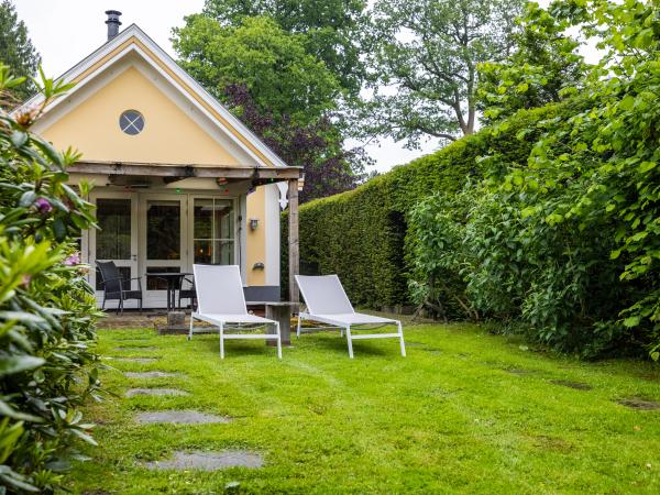 Tuin [zomer]