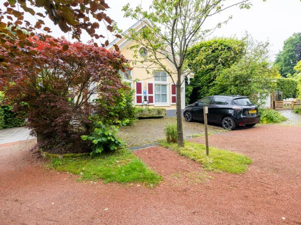 Tuin [zomer]