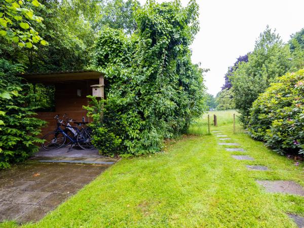 Tuin [zomer]