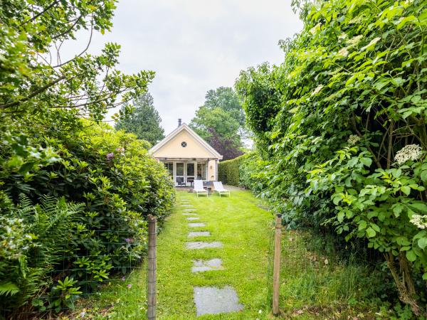 Tuin [zomer]