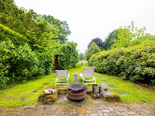 Tuin [zomer]
