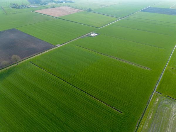 Omgeving [zomer] (1-5 km)