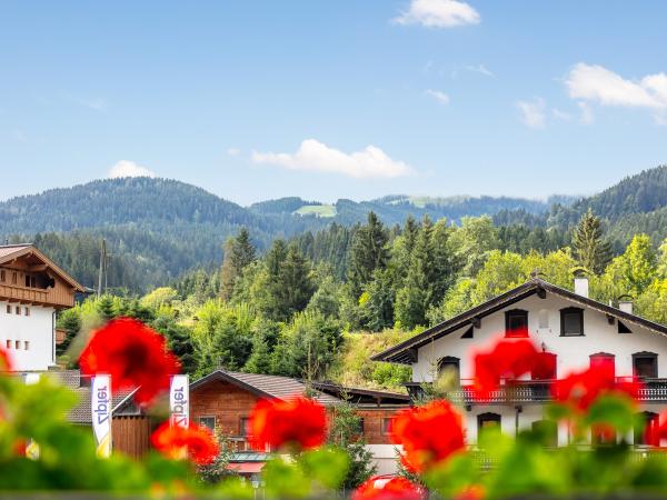 Aussicht vom Ferienhaus [Sommer]