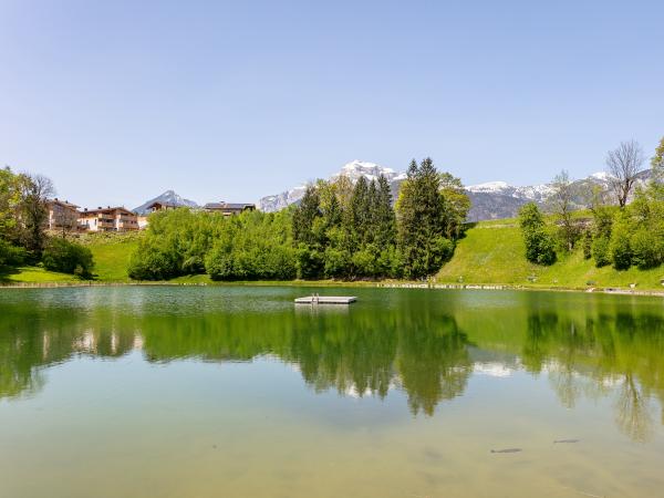 Directe omgeving [zomer] (<1 km)