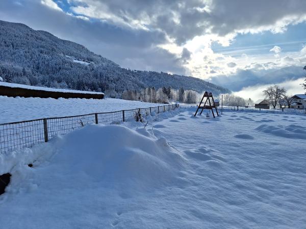 Garden [winter]