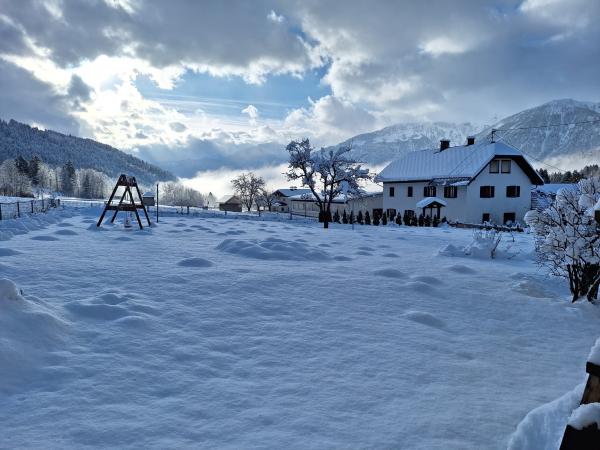 Garden [winter]