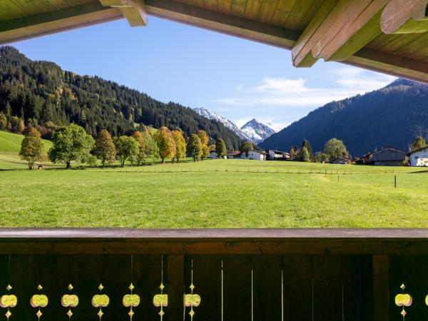 Aussicht vom Ferienhaus [Sommer]