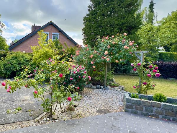 Garten [Sommer]