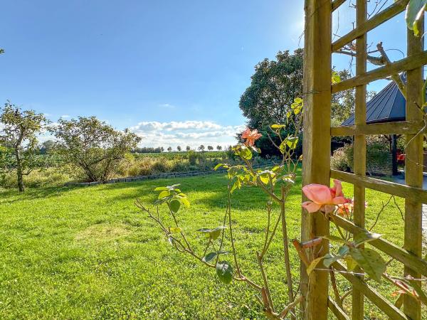 View from Holiday Home [summer]