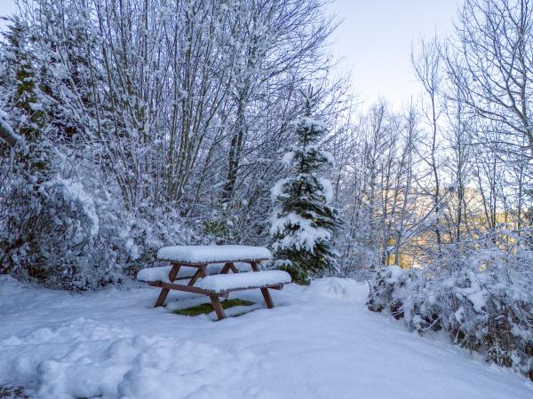 Garden [winter]