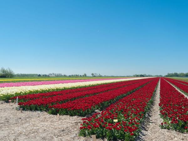 Omgeving [zomer] (1-5 km)