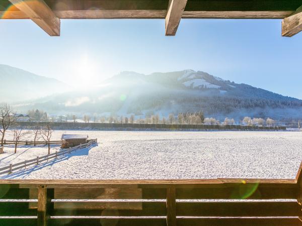 Uitzicht van vakantiehuis [winter]