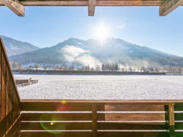 Uitzicht van vakantiehuis [winter]