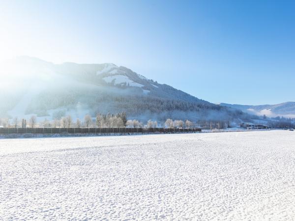 Uitzicht van vakantiehuis [winter]