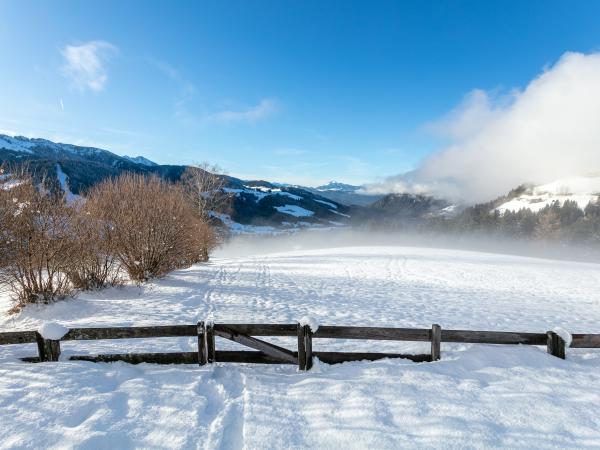 Uitzicht van vakantiehuis [winter]