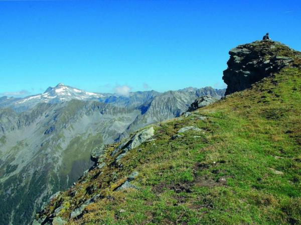 Omgeving [zomer] (1-5 km)