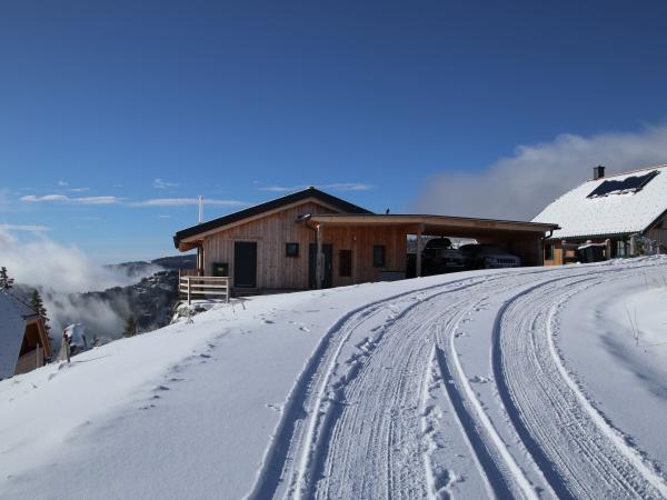 Extérieur maison de vacances [hiver]