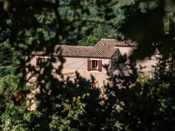 Exterieur vakantiehuis [zomer]