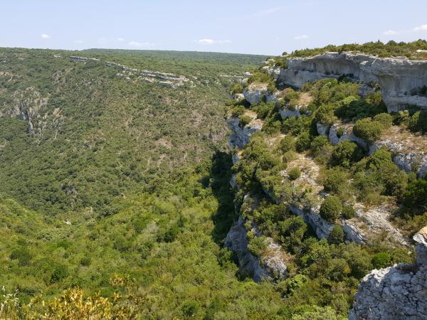 Omgeving [zomer] (1-5 km)