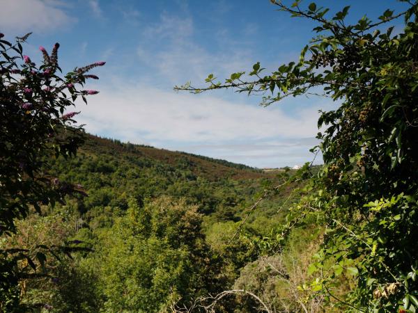 Omgeving [zomer] (1-5 km)