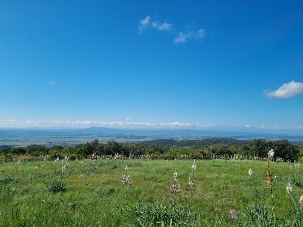 Umgebung [Sommer] (1-5 km)