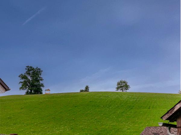 Aussicht vom Ferienhaus [Sommer]