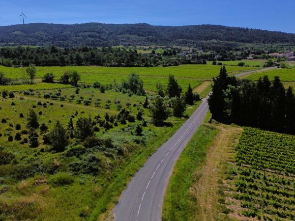 Directe omgeving [zomer] (<1 km)