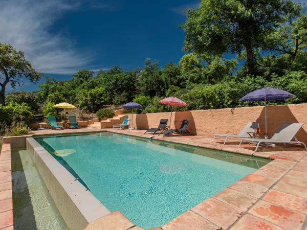 Pool des Ferienhauses