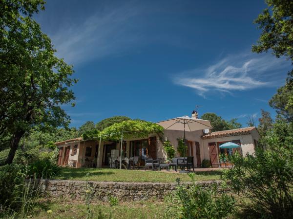 Außenseite Ferienhaus [Sommer]