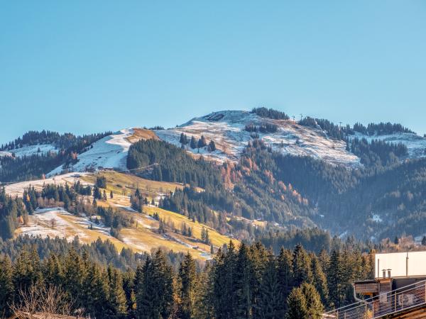 Aussicht vom Ferienhaus [Winter]