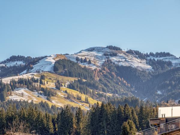 Vue de la maison de vacances [hiver]