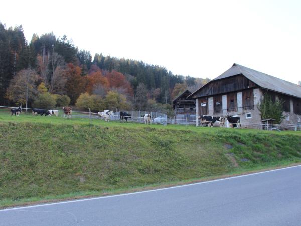 Aussicht vom Ferienhaus [Sommer]