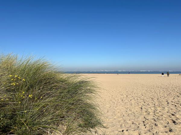 Directe omgeving [zomer] (<1 km)