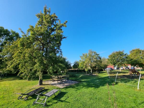 Tuin [zomer]