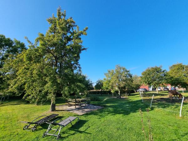 Garden [summer]