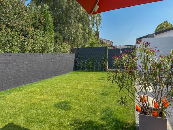 Tuin [zomer]