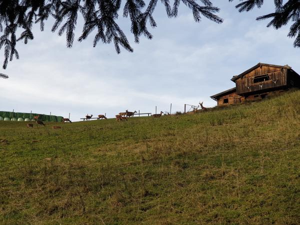 Extérieur maison de vacances [été]