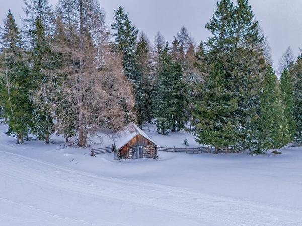 Garten [winter]