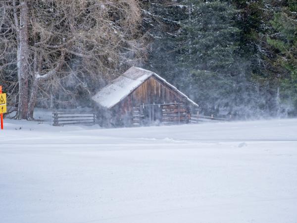 Garten [winter]