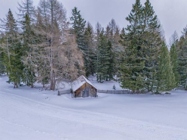 Garten [winter]