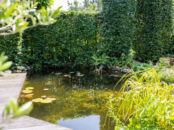 Garten [Sommer]
