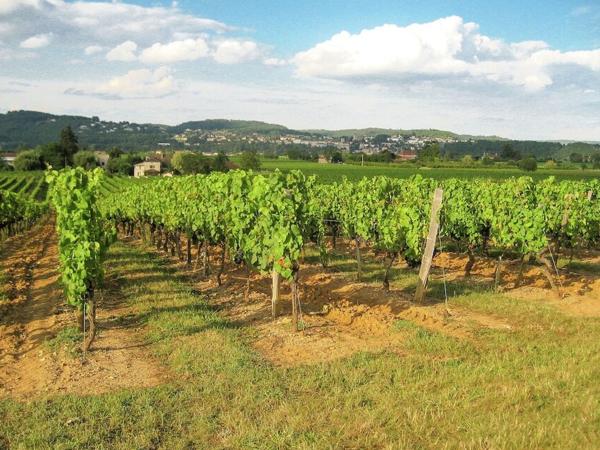 Dans les environs [été] (1-5 km)