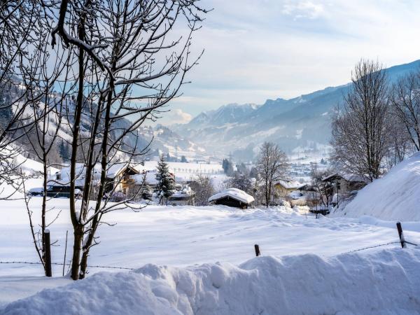 Extérieur maison de vacances [hiver]