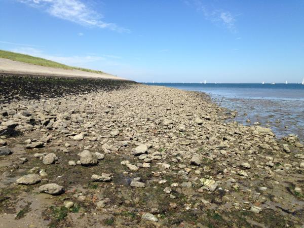 A proximité directe [été] (<1 km)