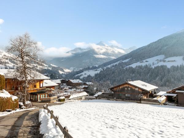 View from Holiday Home [winter]